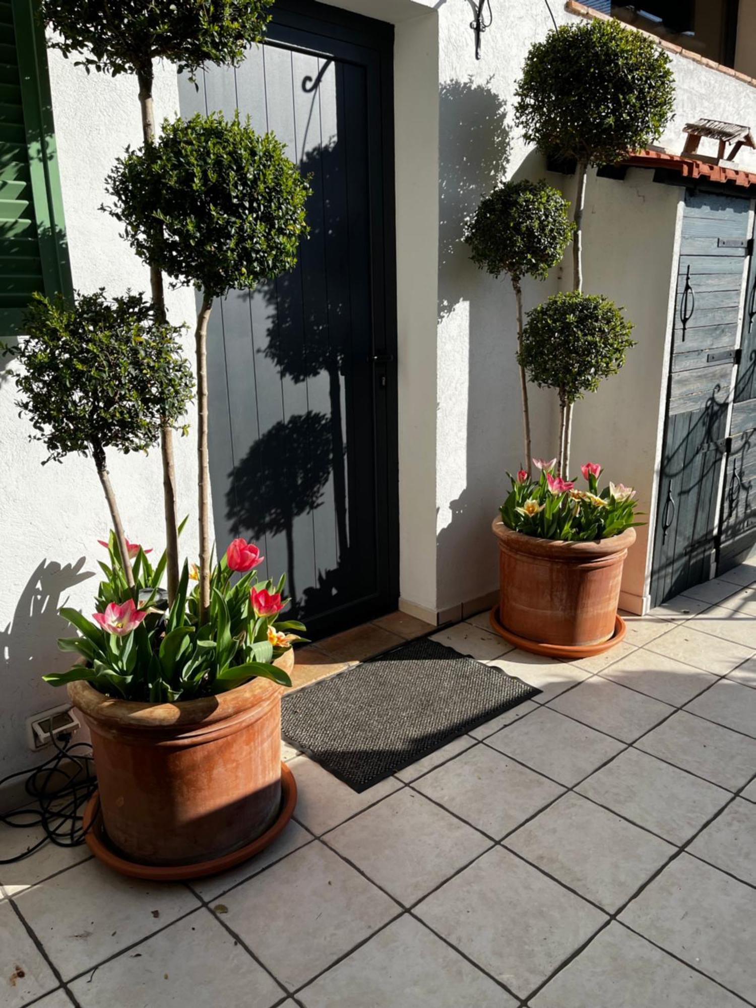 Skylark Bed&Breakfast Grasse Dış mekan fotoğraf