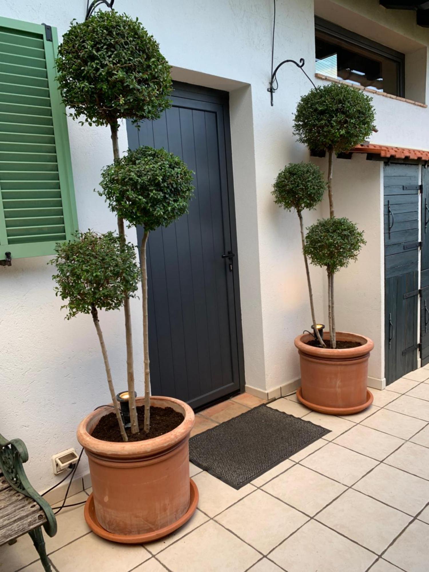 Skylark Bed&Breakfast Grasse Dış mekan fotoğraf