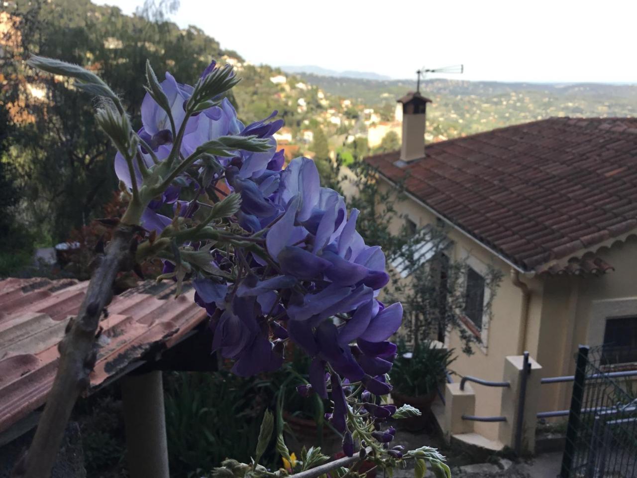Skylark Bed&Breakfast Grasse Dış mekan fotoğraf