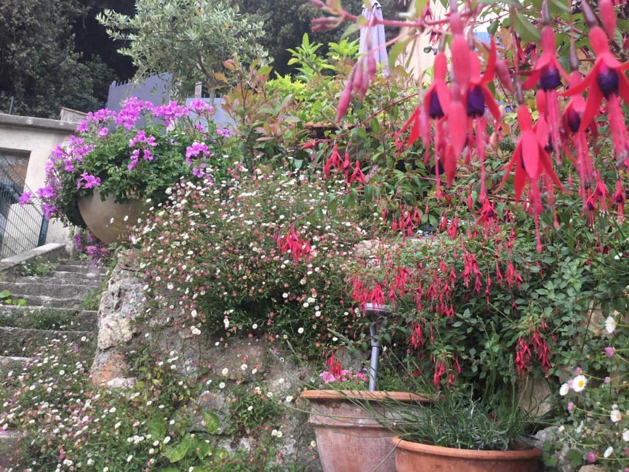 Skylark Bed&Breakfast Grasse Dış mekan fotoğraf