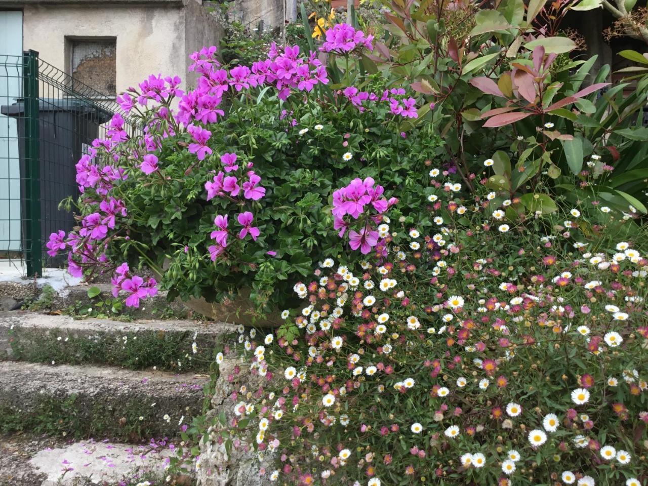 Skylark Bed&Breakfast Grasse Dış mekan fotoğraf